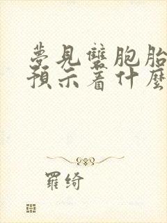 梦见双胞胎男孩预示着什么