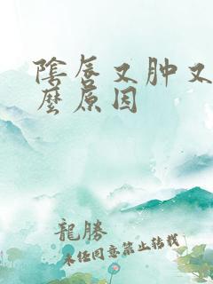 阴唇又肿又痒什么原因