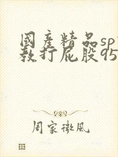 国产精品sp调教打屁股95