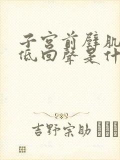 子宫前壁肌层内低回声是什么意思