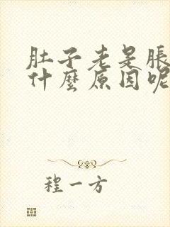 肚子老是胀气是什么原因呢