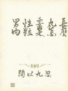 男性睾丸长了个肉粒是怎么回事