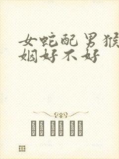 女蛇配男猴的婚姻好不好