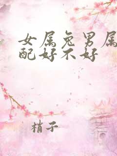 女属兔男属龙婚配好不好