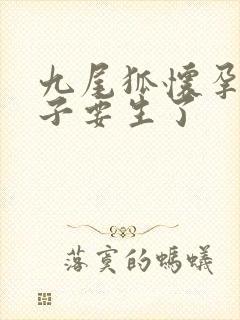 九尾狐怀孕大肚子要生了