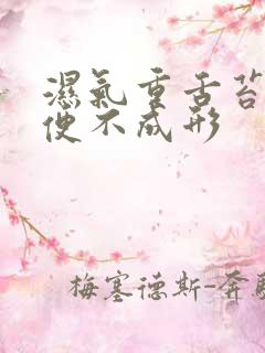 湿气重舌苔厚大便不成形