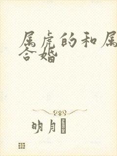 属虎的和属蛇的合婚