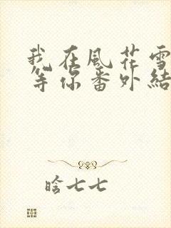 我在风花雪月里等你番外结局