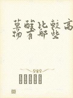 草酸比较高的食物有哪些