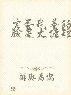 完蛋我养的小白脸是大佬短剧演员表