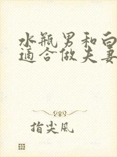 水瓶男和白羊女适合做夫妻吗