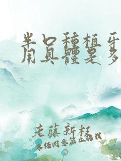 半口种植牙的费用具体是多少