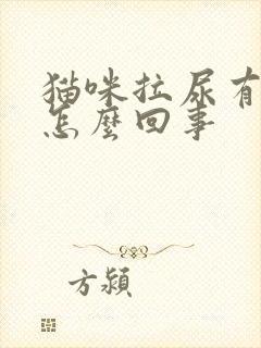 猫咪拉尿有血是怎么回事