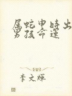 属蛇申时出生的男孩命运