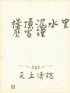 楼顶漏水里面怎么处理