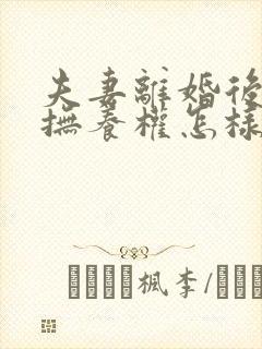 夫妻离婚后孩子抚养权怎样判定