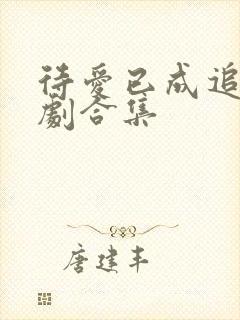 待爱已成追忆短剧合集