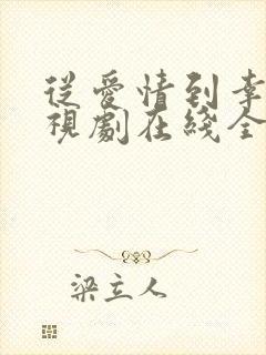 从爱情到幸福电视剧在线全集