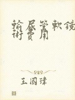 输尿管软镜碎石术费用