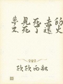 梦见死去的亲人又死了还火化