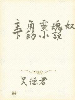 主角灵魂奴役属下的小说