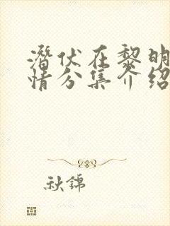 潜伏在黎明前剧情分集介绍