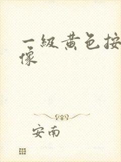 一级黄色按摩录像