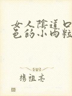 女人阴道口有白色的小肉粒