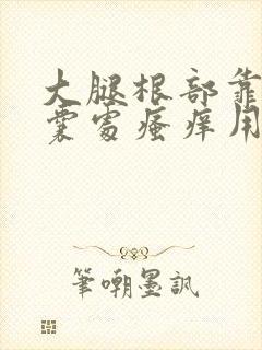 大腿根部靠近阴囊处瘙痒用什么药膏