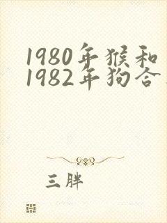1980年猴和1982年狗合不合