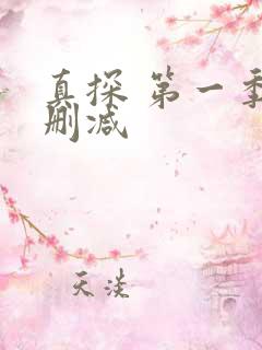 真探 第一季未删减