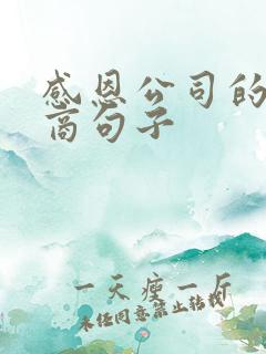 感恩公司的高情商句子