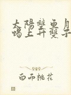 太阳双鱼月亮天蝎上升双子