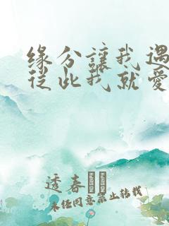 缘分让我遇见你从此我就爱上你歌名是什么