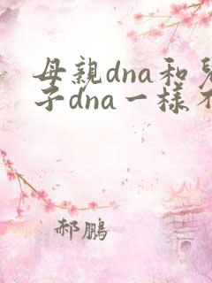 母亲dna和儿子dna一样不
