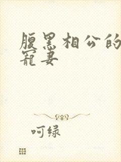 腹黑相公的庶女宠妻