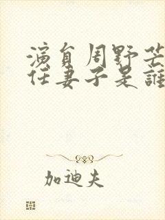 演员周野芒的现任妻子是谁