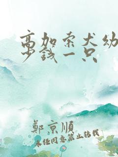 高加索犬幼犬多少钱一只