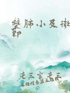 双肺小及微小结节