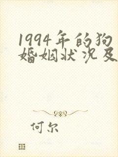 1994年的狗婚姻状况及命运