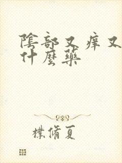 阴部又痒又痛用什么药