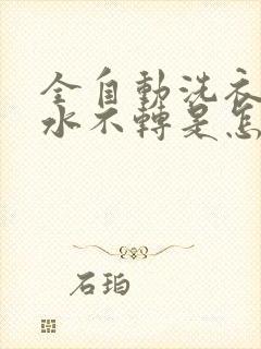 全自动洗衣机脱水不转是怎么回事