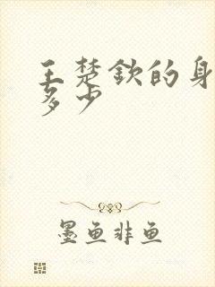 王楚钦的身高是多少