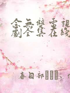 念无双电视连续剧全集在线观看