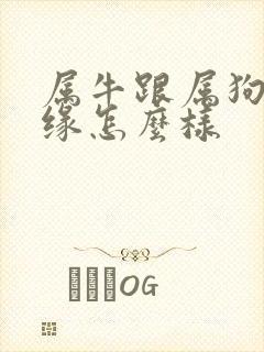 属牛跟属狗的姻缘怎么样