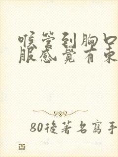 喉管到胸口不舒服感觉有东西堵着