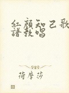 红颜知己歌谱简谱教唱