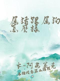 属猪跟属狗姻缘怎么样