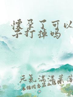 怀孕了可以把孩子打掉吗