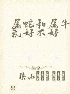 属蛇和属牛的运气好不好